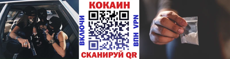 Cocaine FishScale  Купить закладки  Грозный 