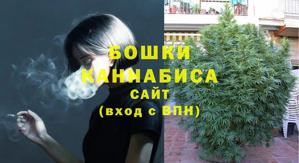 соль ск Краснослободск