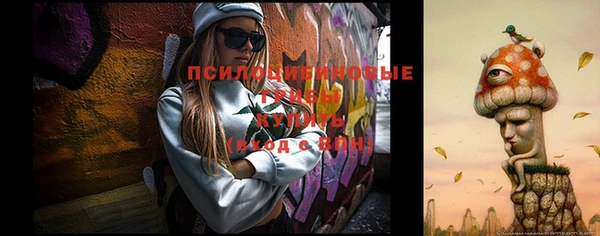 соль ск Краснослободск