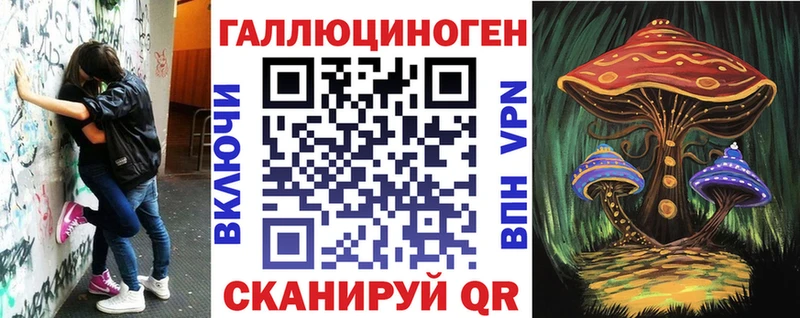Купить  Грозный  Псилоцибиновые грибы GOLDEN TEACHER